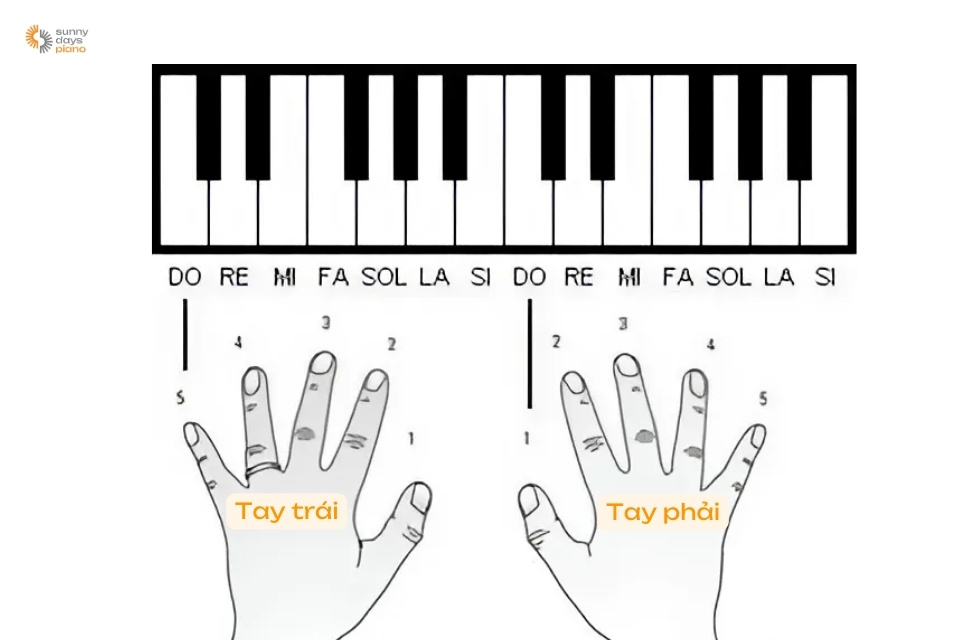 Đặt tay đúng khi chơi đàn piano