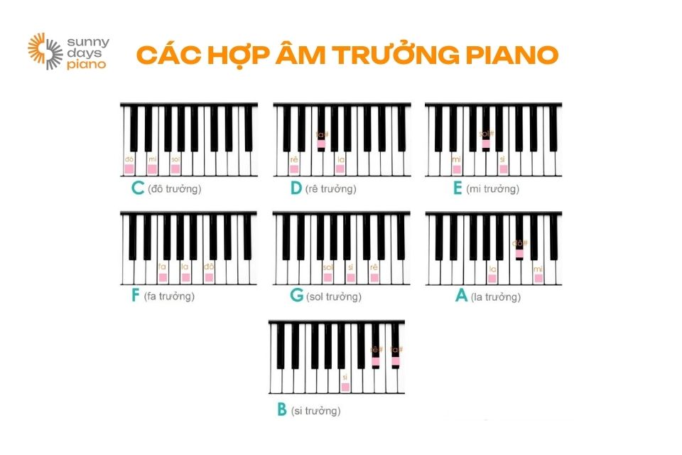 Kiến thức nhạc lý piano là nền tảng quan trọng để bạn hiểu cấu trúc âm nhạc, nhận biết hợp âm và các ký hiệu trong bản nhạc