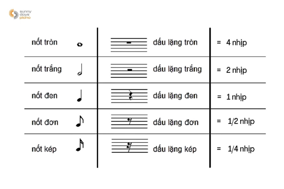 Các trường độ cơ bản thường xuất hiện trong bản nhạc piano.