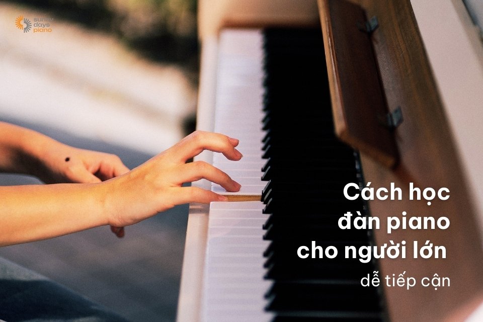 Hướng dẫn cách học đàn piano cho người lớn đơn giản