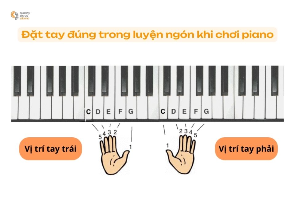 Đặt tay đúng vị trí khi luyện ngón piano