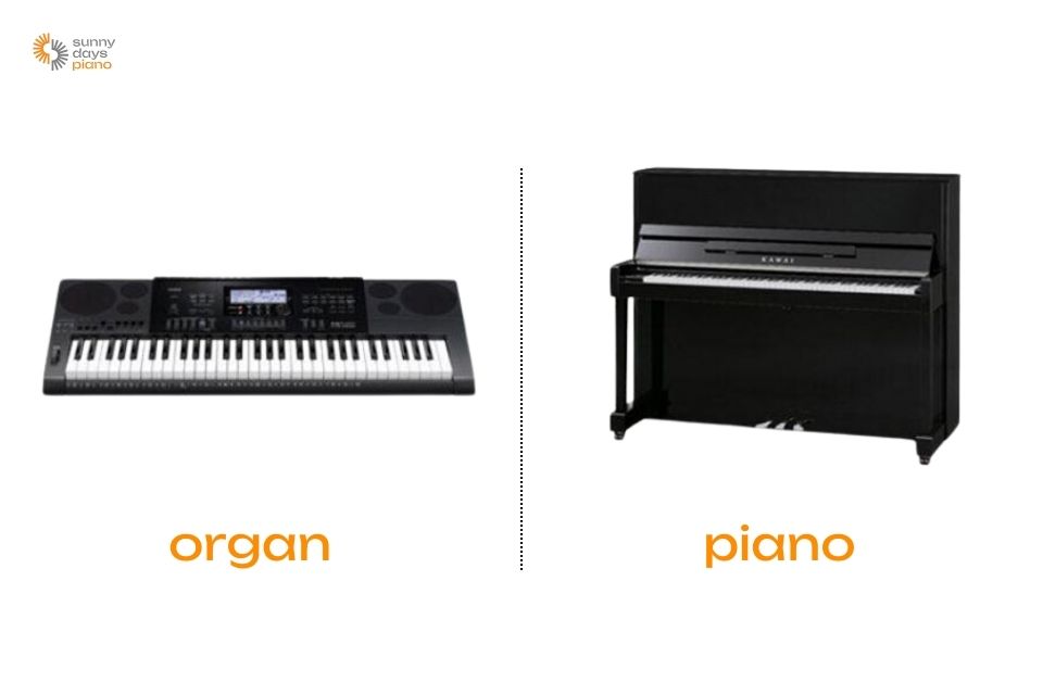 Đàn piano và đàn organ đều là nhạc cụ phím, nhưng lại có sự khác biệt rõ rệt 