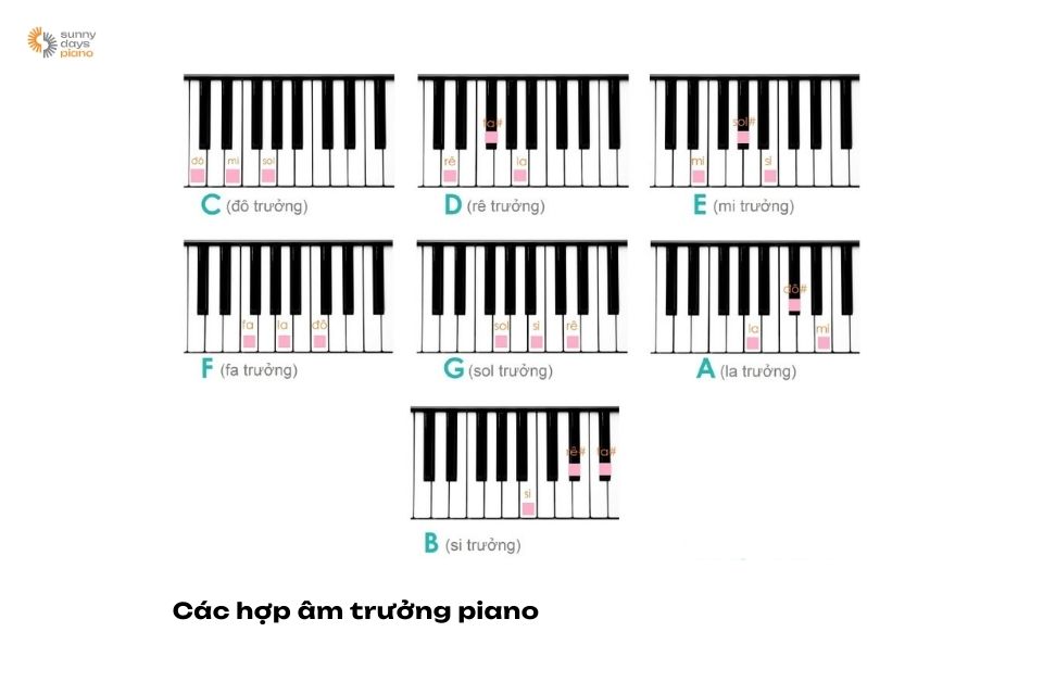Để bắt đầu quá trình học đánh đàn piano cơ bản, bạn nên làm quen với các hợp âm 
