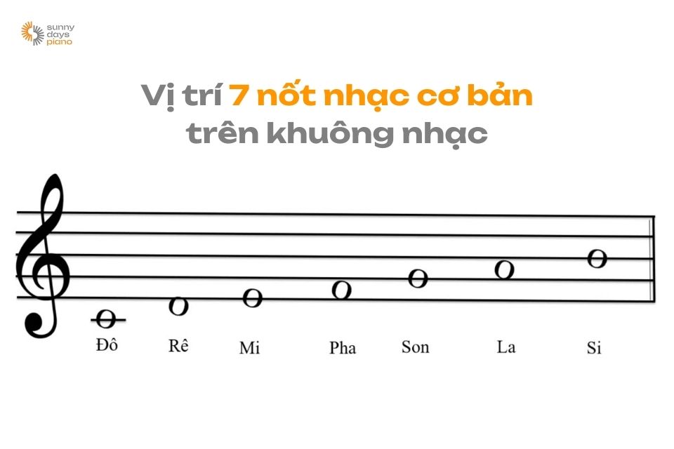 Nắm rõ vị trí của 7 nốt nhạc piano cơ bản trên khuông nhạc trước khi học cách đọc bản nhạc piano