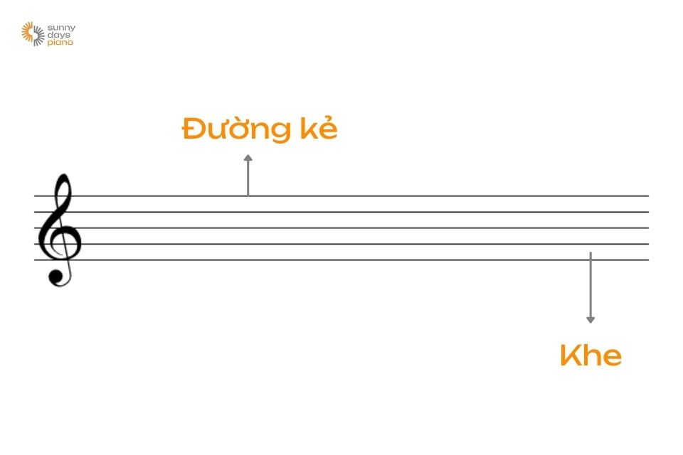 Khuông nhạc, dòng kẻ và khe nhạc