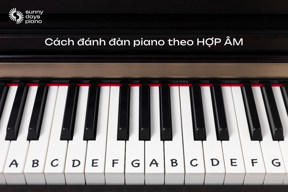 Cách đánh đàn piano theo hợp âm đơn giản, dễ hiểu nhất
