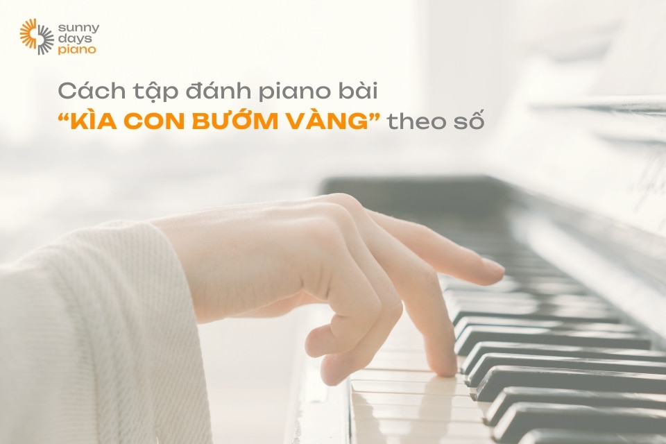 Tập đánh đàn Piano bài Kìa con bướm vàng theo số dễ hiểu nhất