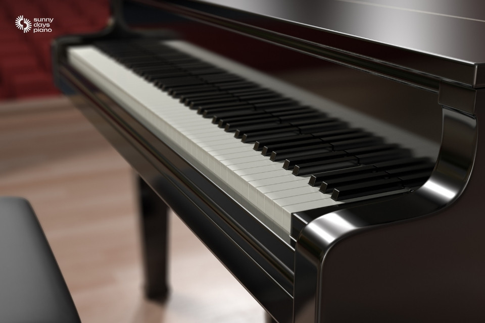 Piano điện được nhiều người mới tập đánh đàn piano lựa chọn vì nhiều ưu điểm nổi trội