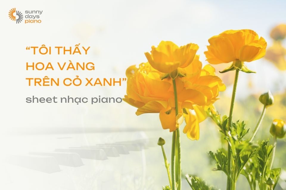 Tôi thấy hoa vàng trên cỏ xanh chi tiết Piano Sheet, nốt nhạc, hợp âm