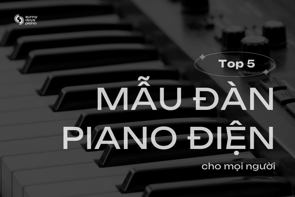 Top 5 mẫu đàn piano điện cho người mới học chất lượng