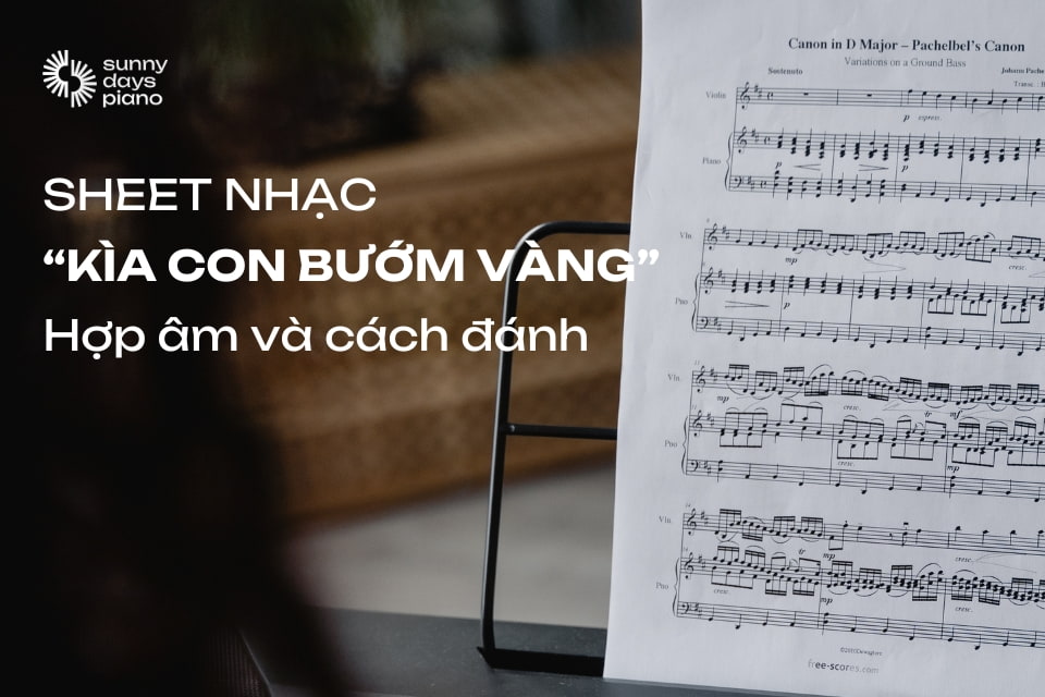 Sheet nhạc "Kìa con bướm vàng": hợp âm và cách đánh