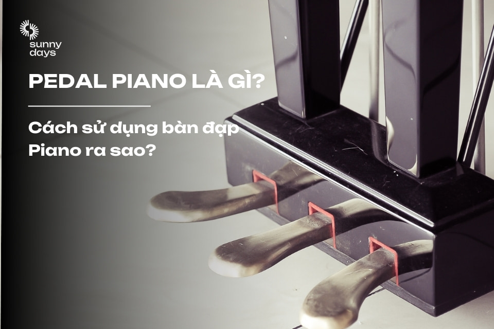 Tìm hiểu cấu tạo và cách sử dụng pedal piano