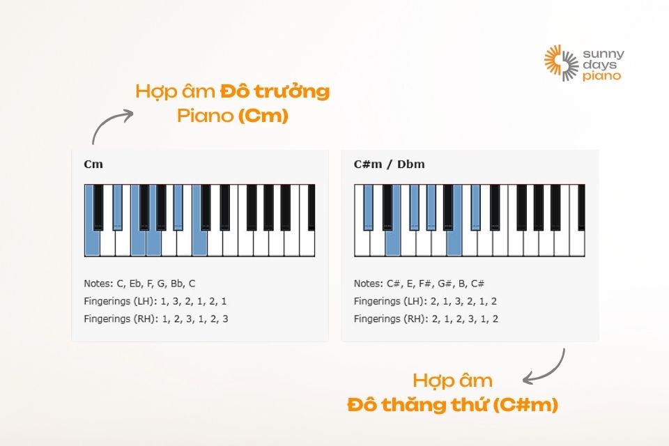 Cấu tạo hợp âm đô trưởng Cm và hợp âm đô thứ C#m